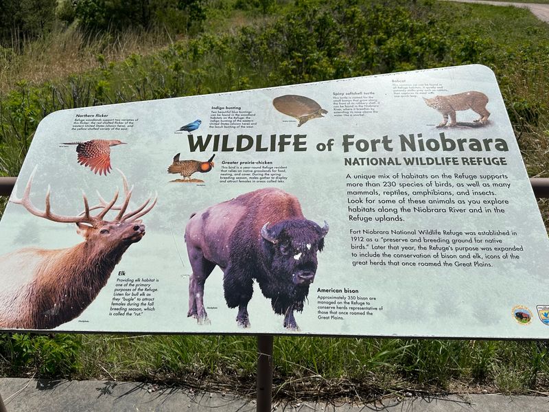The 3.5-Mile Wildlife Drive