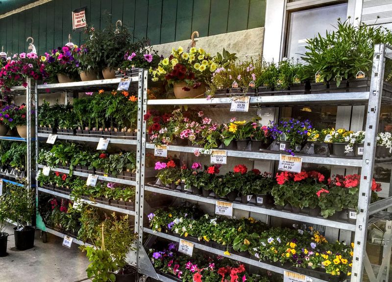 A Garden Center Built For Real Planting