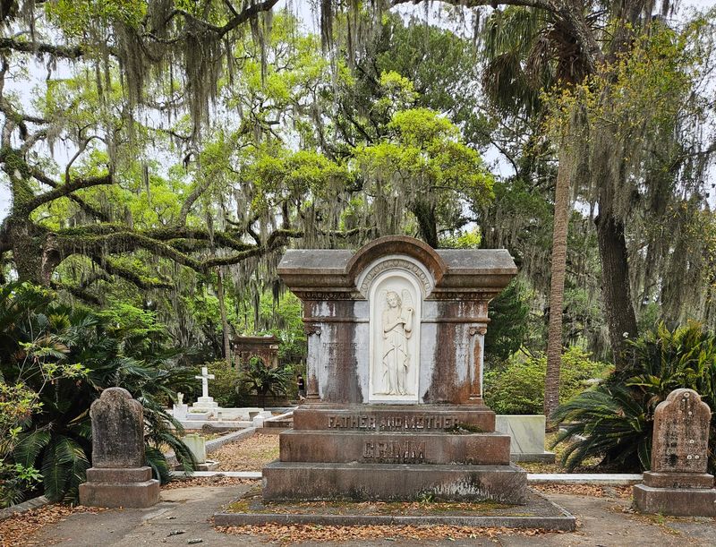 Live Oaks Older Than The Country Itself