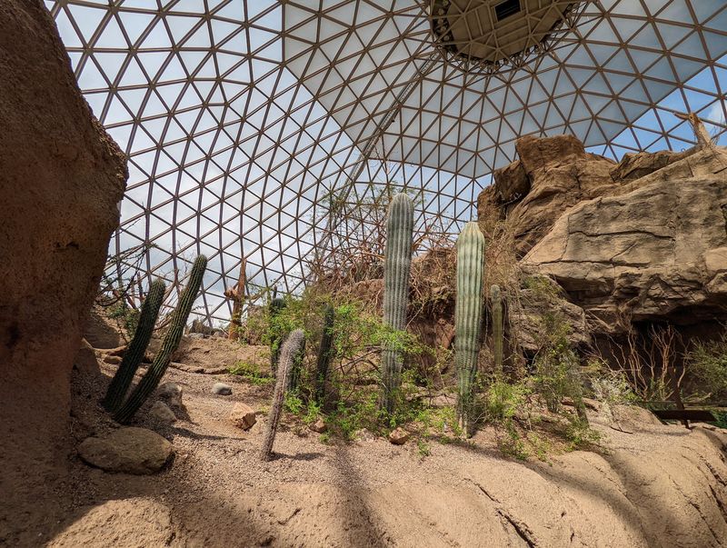 How a Zoo Director's Idea Became Concrete and Acrylic
