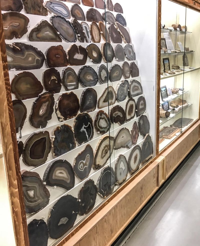 This Free Idaho Museum Is Packed With Fossils, Gemstones And Touch Zones Kids Never Forget - Decor Hint Gemstones, Cabochons And Petrified Wood That Stop You Cold