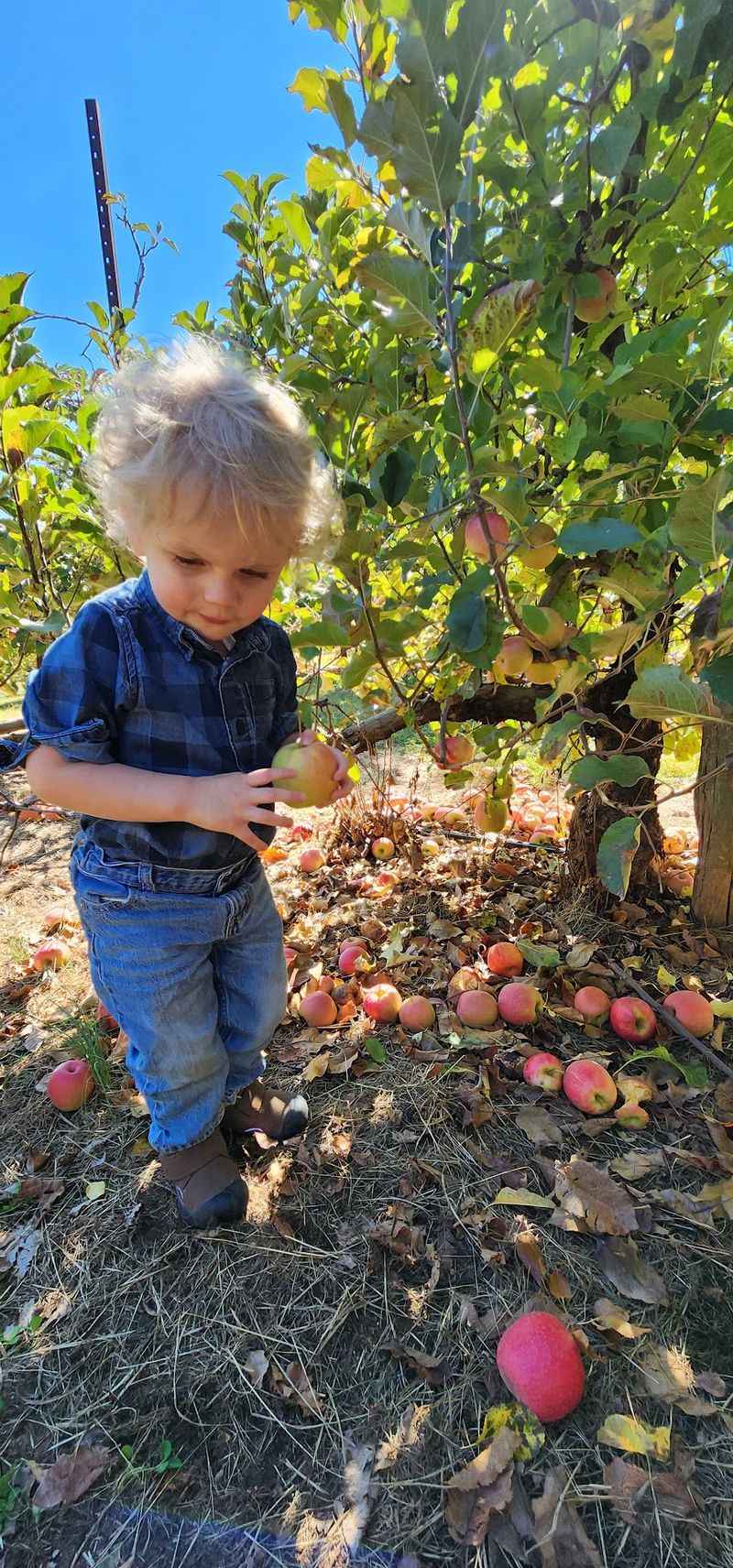 A Family Operation With Teaching on Its Mind
