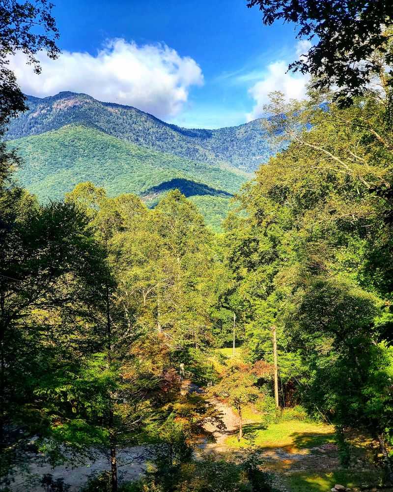 Forested Mountains Rise Around Town In Nearly Every Direction
