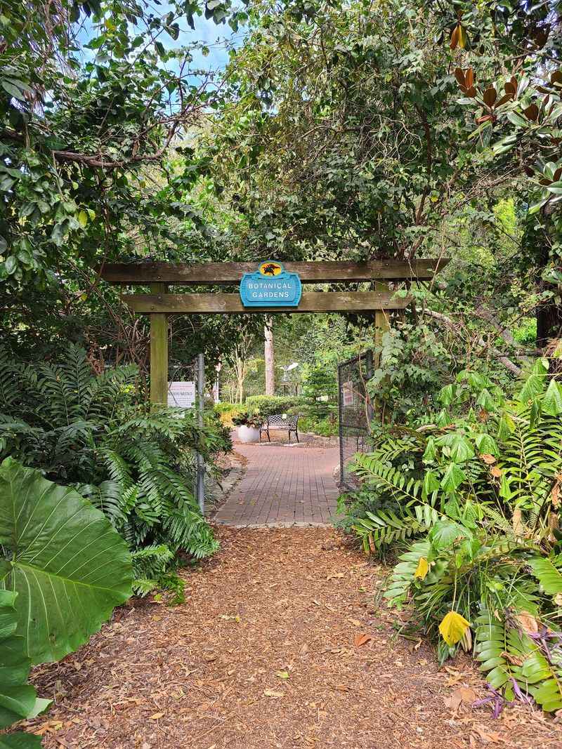 Free Admission That Feels Almost Suspicious