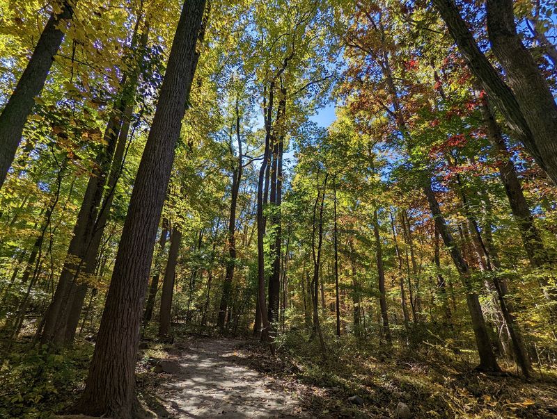 Trails That Range From Easy Strolls To Rocky Workouts