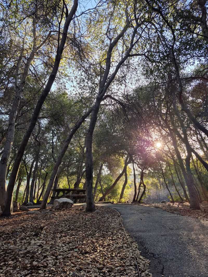 The Park Sits Just North Of San Bernardino