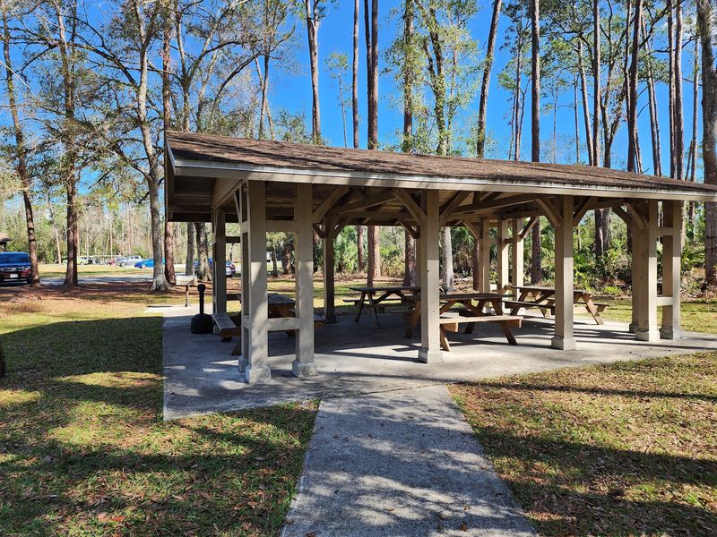 Bike Paths, Picnic Tables And Campsites Under The Canopy