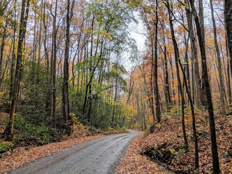 Fall Branch Falls And Its Easy Half-Mile Trail