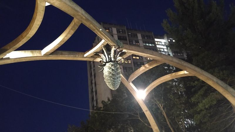 Bronze Pine Cone Overhead
