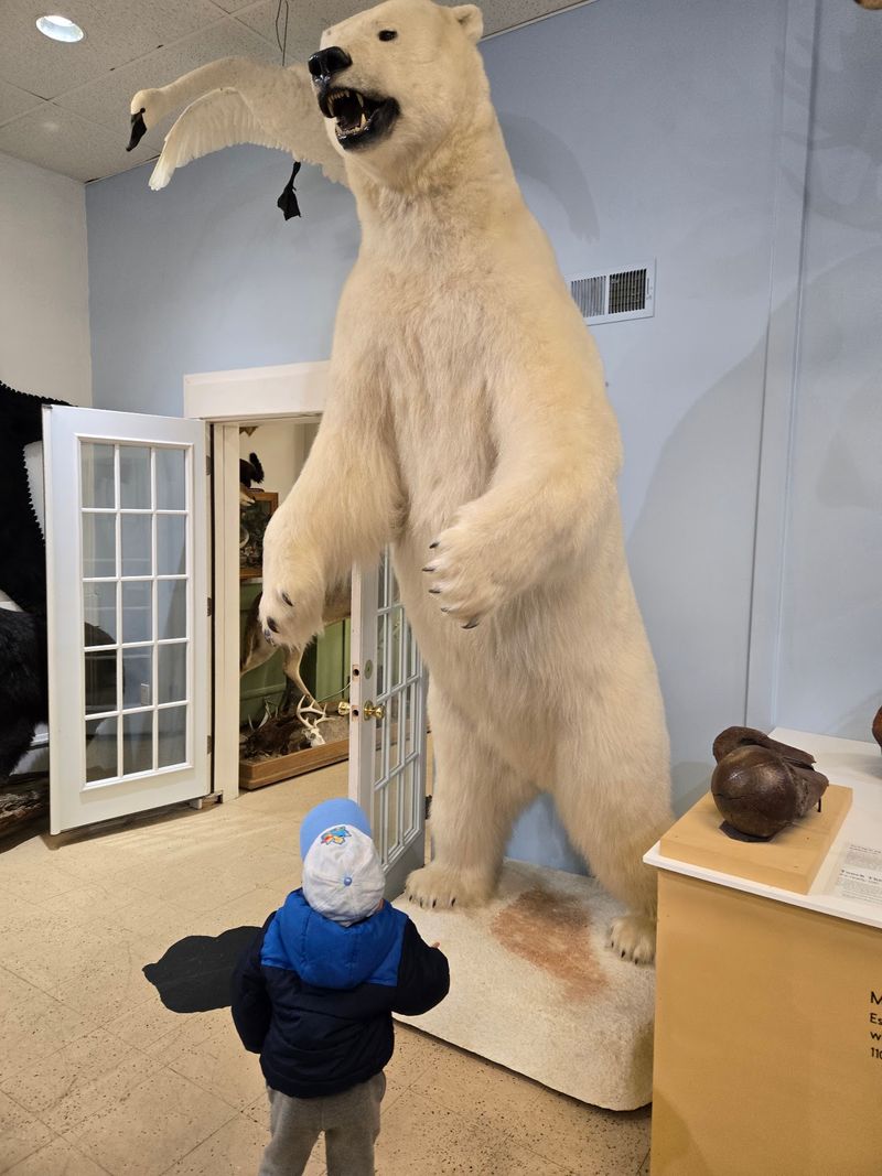 Free Admission With An Optional Donation Box