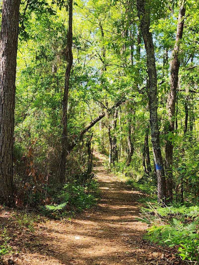 Trails Made For Slowing Down
