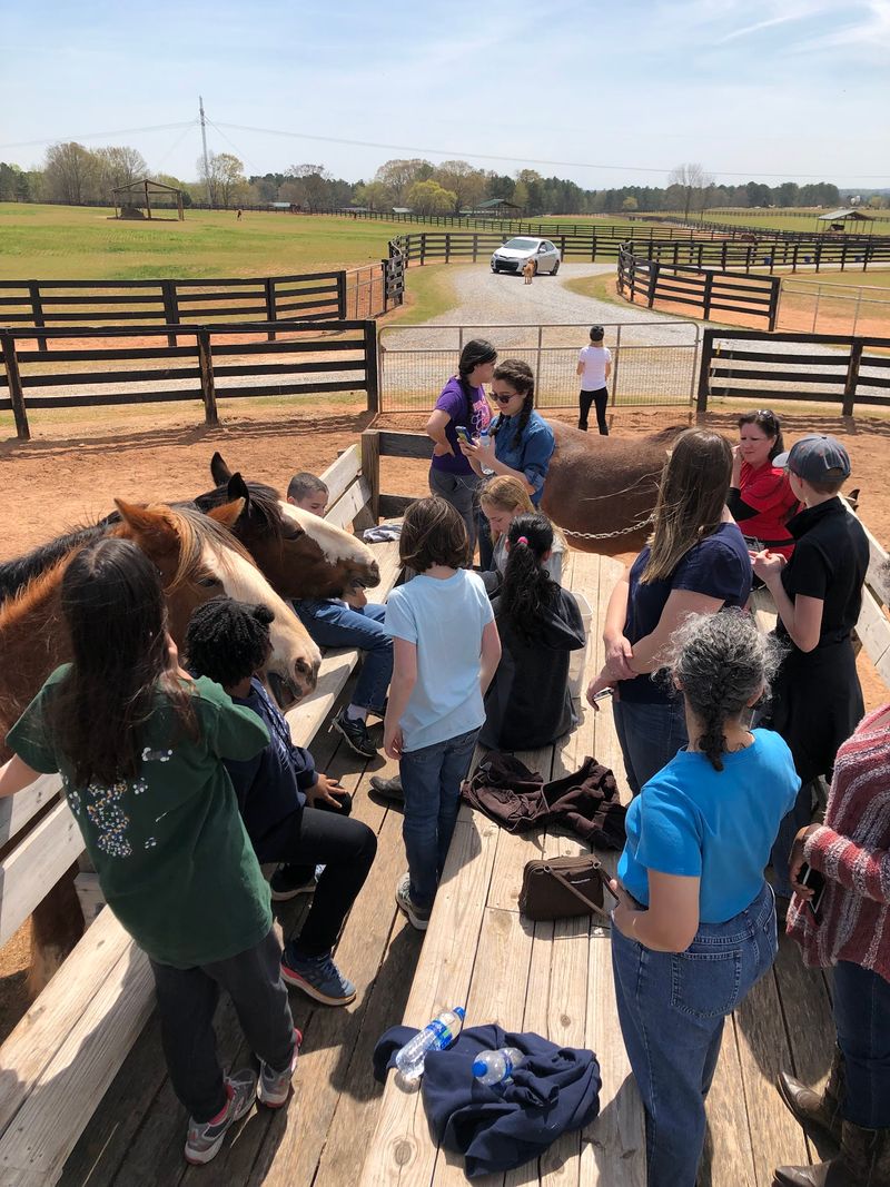 A Farm Tour Full Of Up-Close Moments