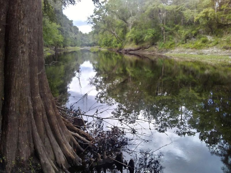 The Alapaha River