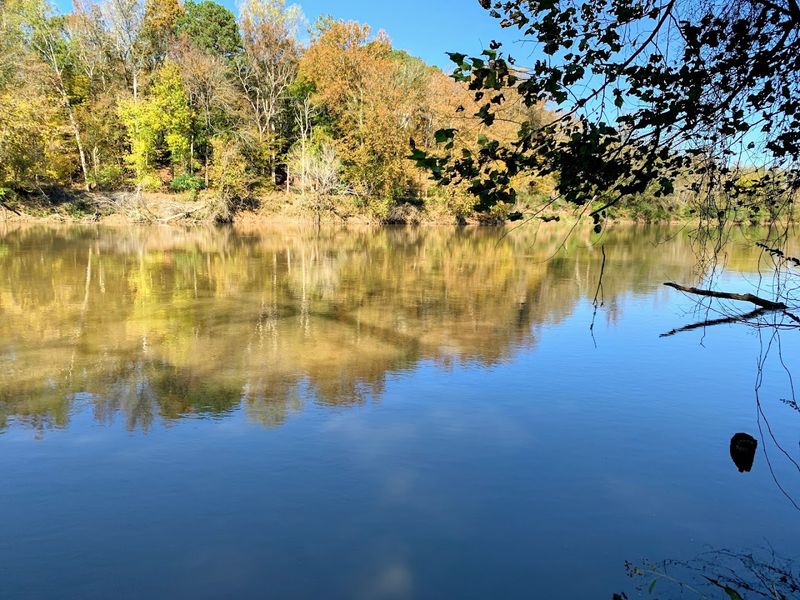 Riverside Trail With Stunning Views Of The Chattahoochee River