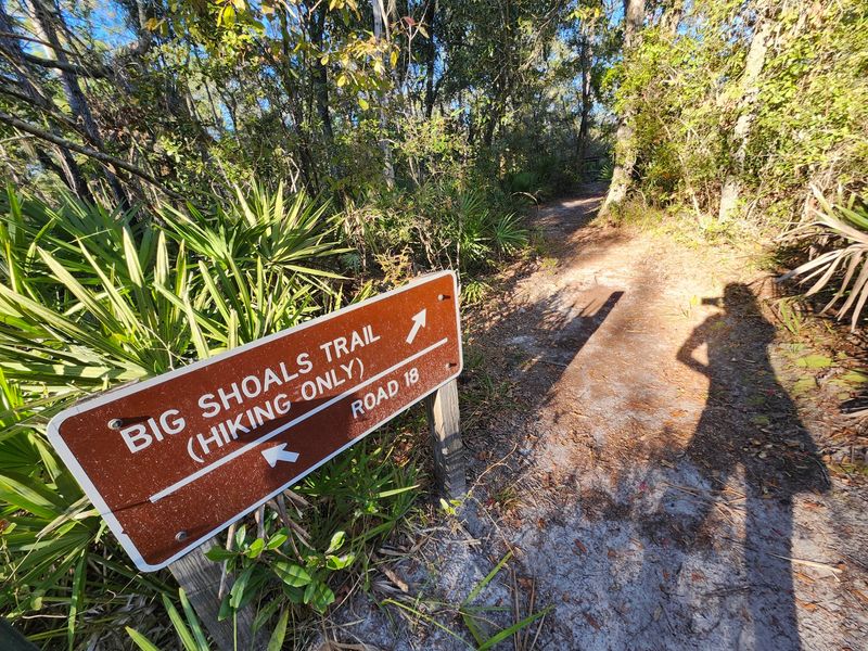 Hours, the Honor Box, and That Sandy Road