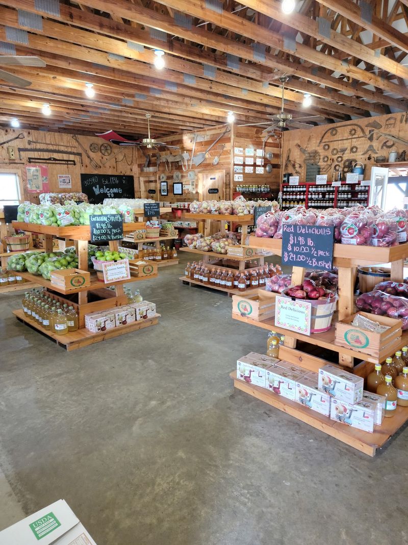Pantry Raid Heaven At Penland's Apple House, Ellijay