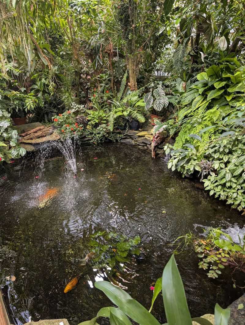 Frogs, Lizards And Hissing Roaches