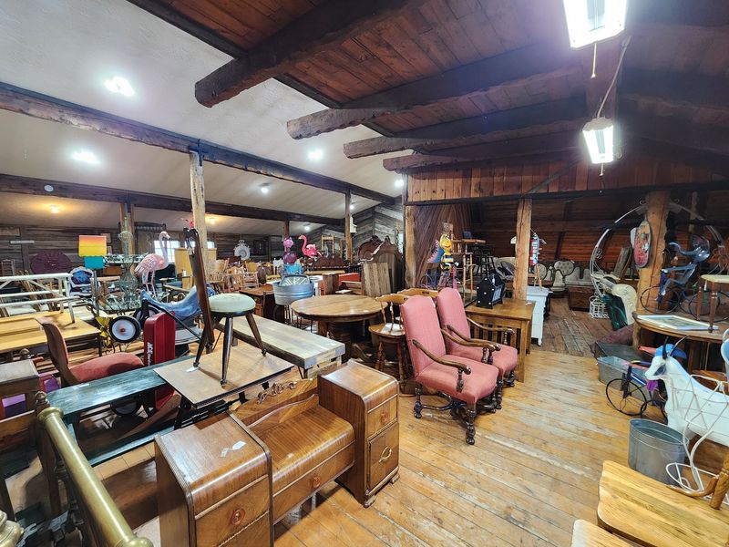 This Idaho Antique Shop Lets A Crew Of Rescued Cats Nap Among The Vintage Shelves - Decor Hint Four Buildings Nailed Together