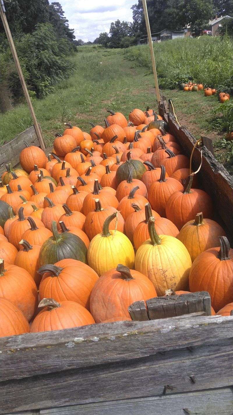 Prices That Leave Room For Pie Ingredients