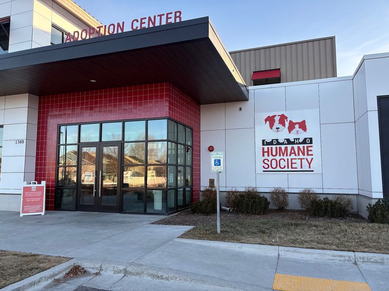 The Clinic That Worked Overtime