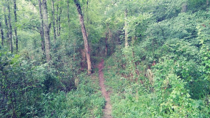 Trail Conditions Worth Knowing Before You Go