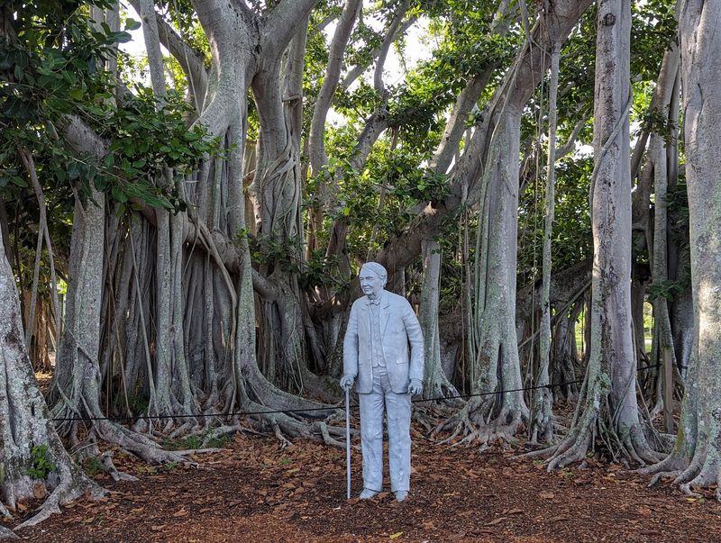 The Sapling Harvey Firestone Handed Over In 1925
