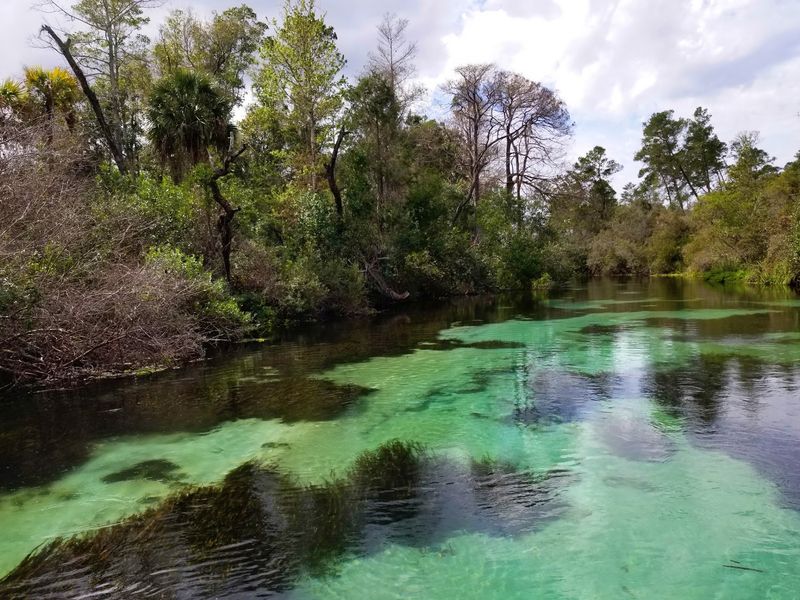 Florida's Oldest Roadside Attraction Still Stages Live Mermaid Shows in a Spring-Fed Theater - Decor Hint Little Spring, Winding River: Where the Name Comes From