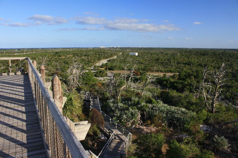 Florida's Little Mountain Overlook Inside This State Park Hides A Secret Snake Problem - Decor Hint The Rustle Beside the Boardwalk