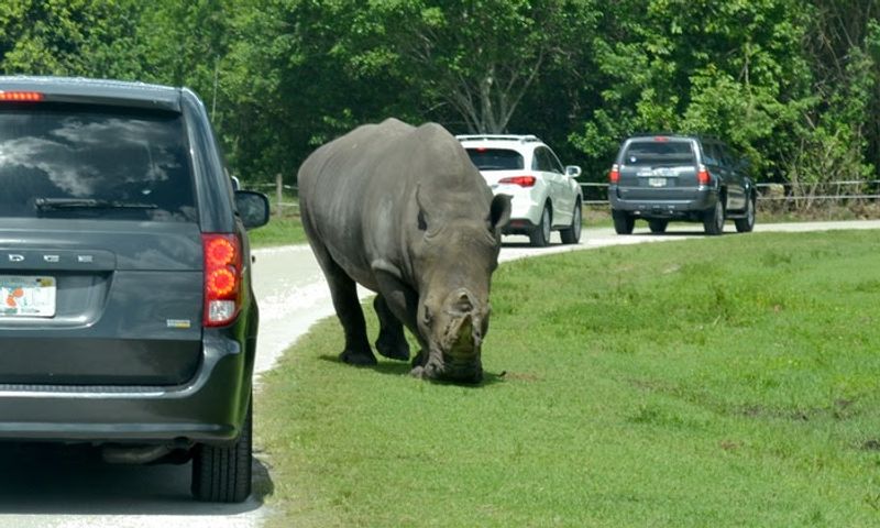 How A Cageless Zoo Took Root Here