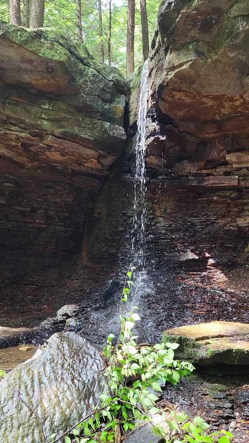 Adam Falls Lets You Stand Behind The Water