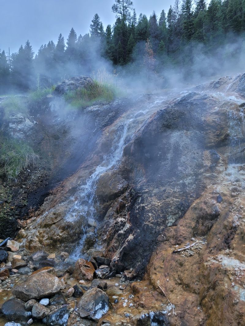 Steam Drifting Through The Trees Gives The Whole Area An Almost Surreal Look
