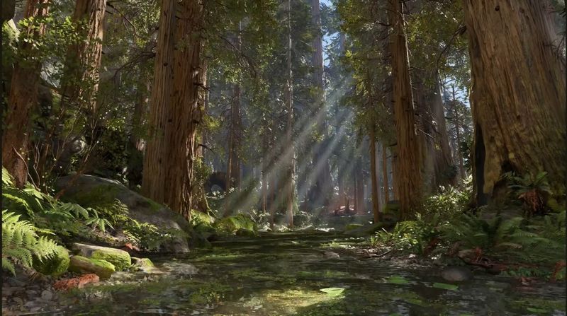 This California Redwood Grove Looks Like Another Planet And Star Wars Actually Filmed Here - Decor Hint Accessibility Is Built Into The Grove Trail