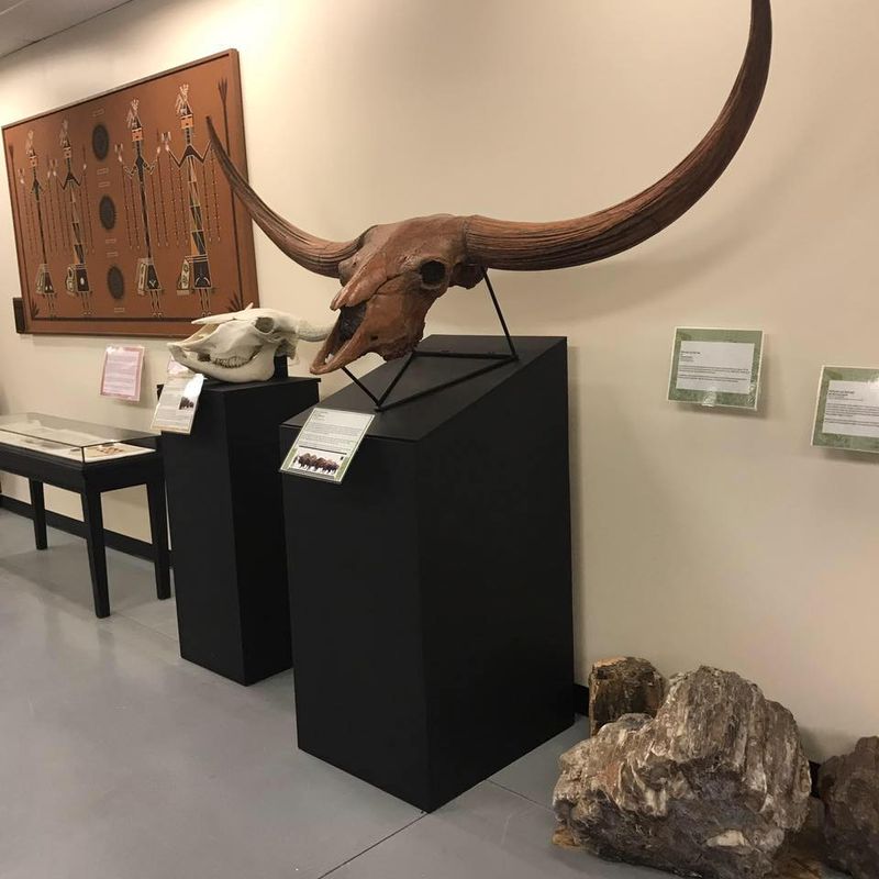 This Free Idaho Museum Is Packed With Fossils, Gemstones And Touch Zones Kids Never Forget - Decor Hint Finding The Door And Planning Your Visit