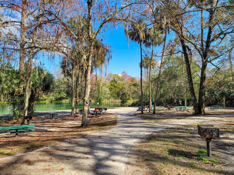 Roots in Florida's Oldest National Forest