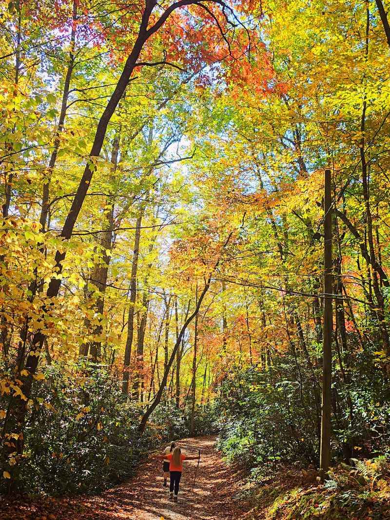 Fourteen Trails Packed Into Five Miles