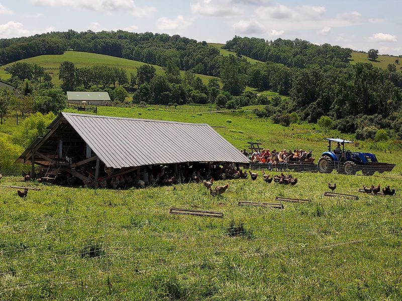 A Long View Of The Land