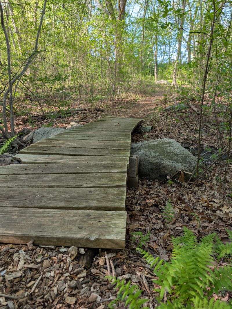 The Arboretum Started With 64 Acres In 1931