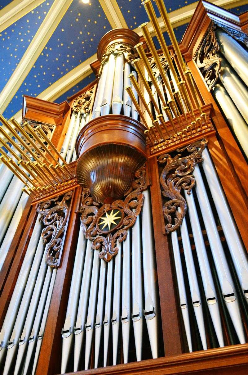 An Organ With Serious Lung Power