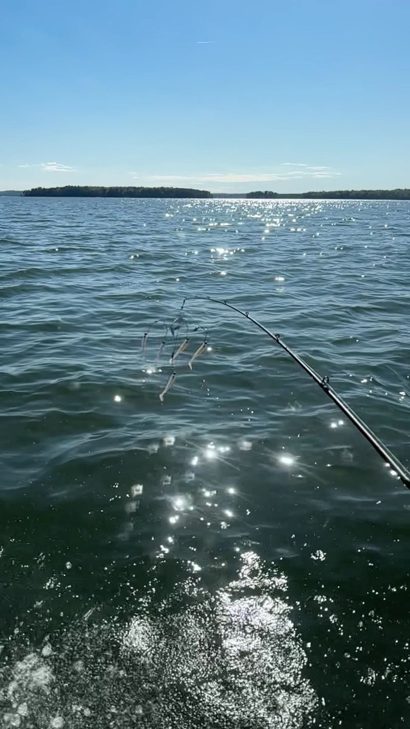 Paddles, Pontoons And Fishing Lines