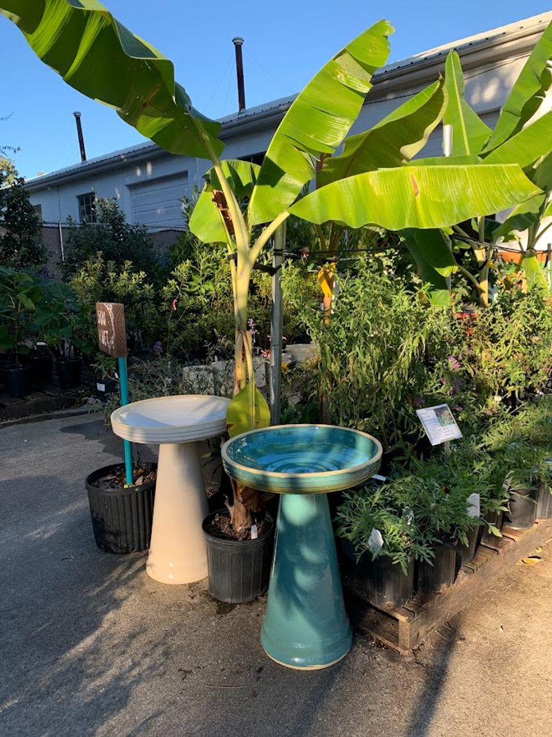 This South Carolina Nursery Is Packed With Native Plants, Pots And Garden Treasures - Decor Hint Planning Your Visit Smartly