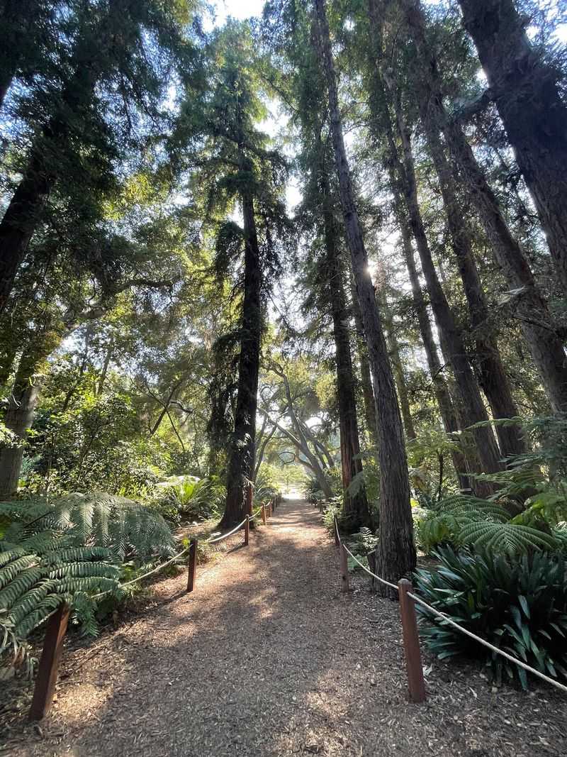 Following The Mile-Long Trail