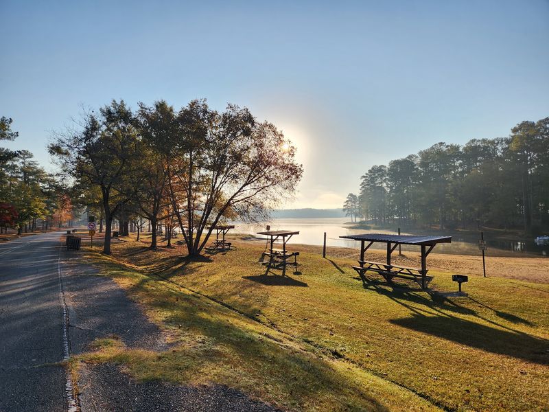 Wind Creek State Park Beach Days