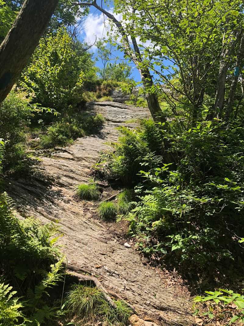 Hoosac Range Reserve, North Adams