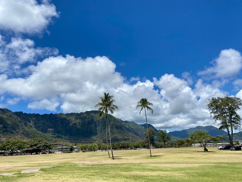 Waimānalo Beach Park People's Open Market