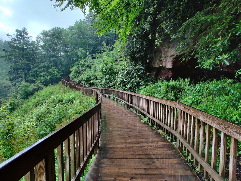 10 Must-Try West Virginia Hikes, Ranked From Gentle To Challenging - Decor Hint Lindy Point Trail, Davis