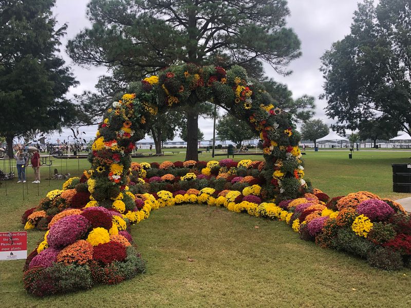 The Pumpkin Patch Adds Another Big Dose Of Fall Color