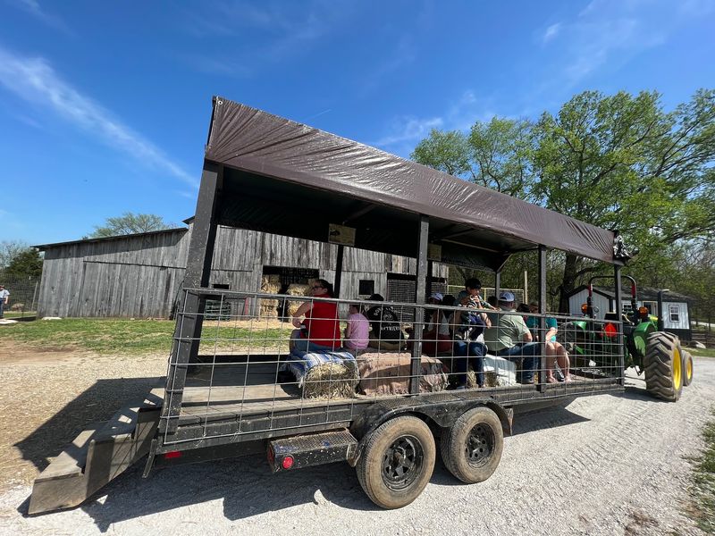 The Three-Quarter-Mile Wagon Ride Steals The Show