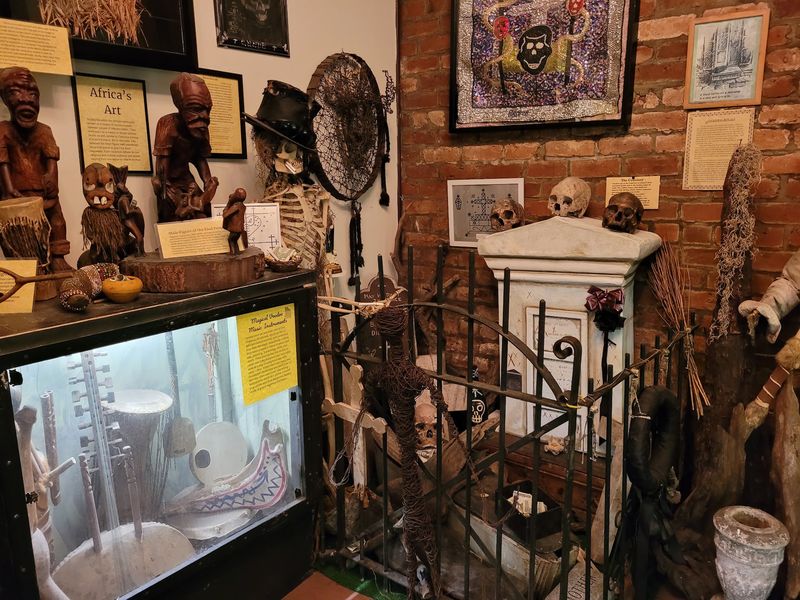 This Spooky Louisiana Museum Is Filled With Strange And Macabre Displays - Decor Hint Roots That Crossed An Ocean