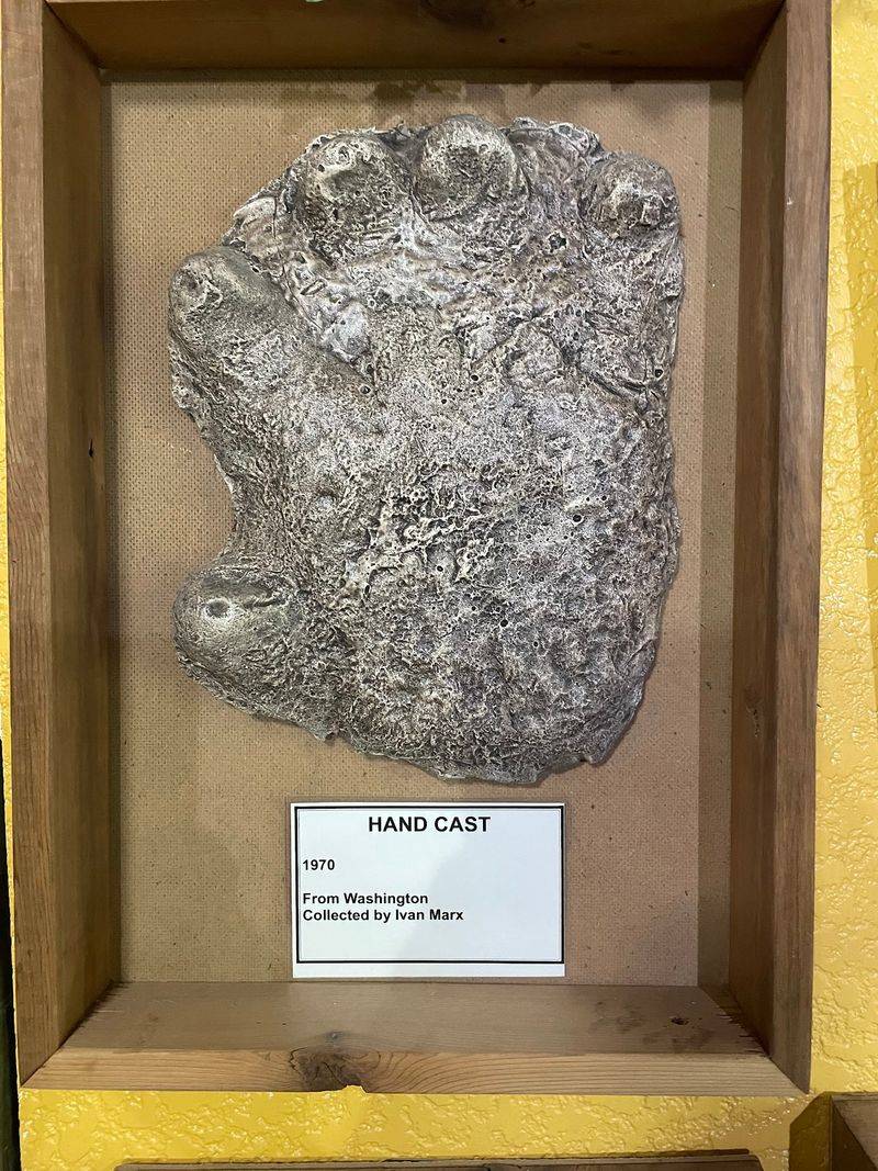 Footprint Casts And Famous Photos