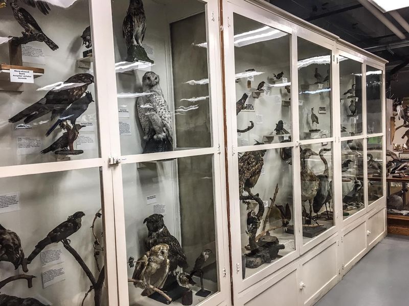 This Free Idaho Museum Is Packed With Fossils, Gemstones And Touch Zones Kids Never Forget - Decor Hint Touch Zones Built For Curious Hands